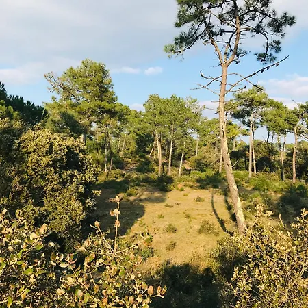 Le Golf Et L'ocean, T2 Vue Daire Saint-Jean-de-Monts